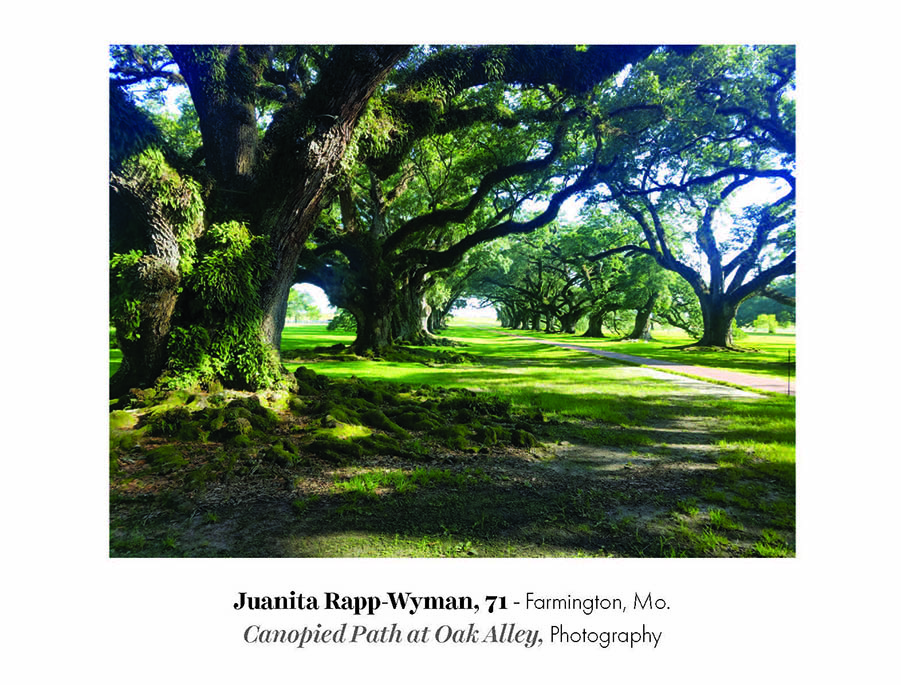 Canopied Path at Oak Alley by Juanita Rapp Wyman