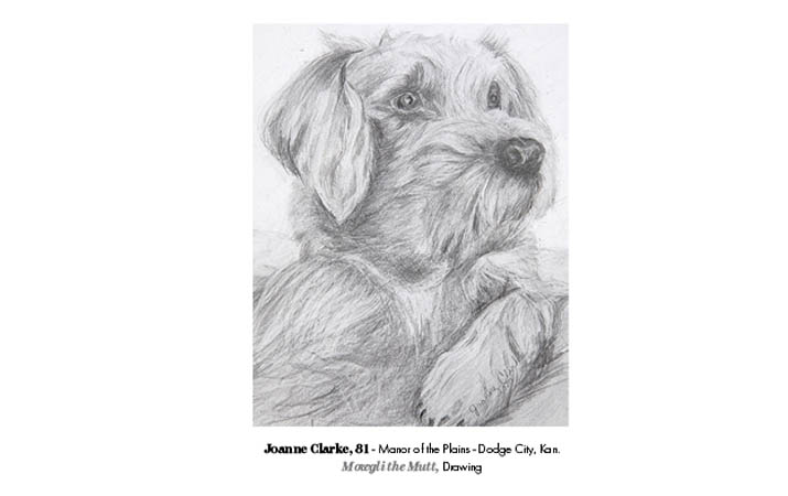 Postcard - Mowgli the Mutt by Joanne Clarke