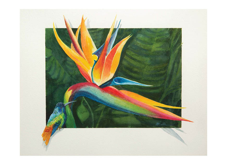 Thank You - Bird of Paradise by Mark Ward